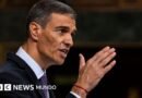 Pedro Sánchez convoca elecciones anticipadas tras el fracaso en el Congreso de sus decretos para enfrentar la crisis de la vivienda en España  - BBC News Mundo
