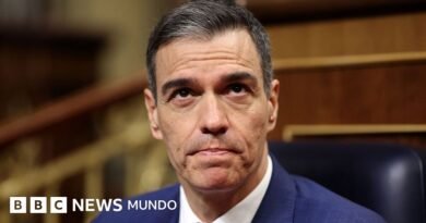 Por qué Pedro Sánchez decidió convocar elecciones anticipadas en España ahora - BBC News Mundo