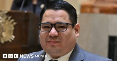 Por qué arrestaron al fiscal general en Bolivia días después de que EE.UU. le quitara la visa (y qué casos investigaba) - BBC News Mundo
