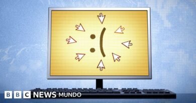 Por qué creer que la IA tiene conciencia y sentimientos puede ser catastrófico  - BBC News Mundo