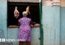 Por qué las exportaciones de EE.UU. a Cuba alcanzaron un récord mientras Trump ejerce máxima presión sobre la isla  - BBC News Mundo
