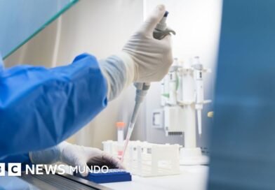Qué es y cómo se propaga la peste neumónica que se estudia en el laboratorio de Siberia en el que falleció una trabajadora - BBC News Mundo