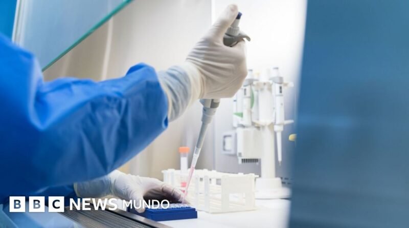 Qué es y cómo se propaga la peste neumónica que se estudia en el laboratorio de Siberia en el que falleció una trabajadora - BBC News Mundo