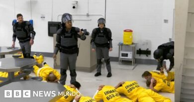 Qué fue el experimento Stanford y por qué causa polémica que Netflix haga un 