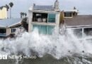 Qué son las ondas Kelvin detrás del oleaje destructivo que está afectando a las costas de México y el sur de California - BBC News Mundo