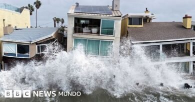 Qué son las ondas Kelvin detrás del oleaje destructivo que está afectando a las costas de México y el sur de California - BBC News Mundo