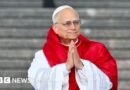 Quién queda a cargo del Vaticano y cómo funciona la Iglesia católica mientras el papa León XIV se recupera de una cirugía pulmonar - BBC News Mundo
