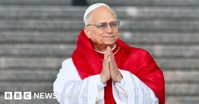 Quién queda a cargo del Vaticano y cómo funciona la Iglesia católica mientras el papa León XIV se recupera de una cirugía pulmonar - BBC News Mundo