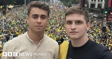 Quiénes son Lucas Pavanato y Nikolas Ferreira, los jóvenes influencers de derecha que lograron las mayores votaciones en la historia de la Cámara de Diputados de Brasil - BBC News Mundo