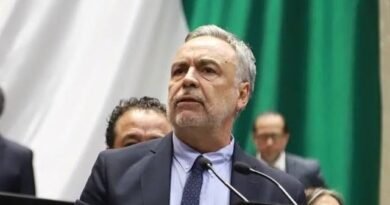 Ramírez Cuéllar pide cárcel para Guadalupe Taddei por presuntas irregularidades en el INE - RR Noticias