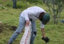 Secretaría de Medio Ambiente destaca donaciones al FIQMA - RR Noticias