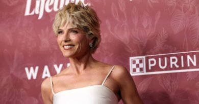 Selma Blair se declara inocente de cargos de agresión tras altercado en un vuelo; el FBI investiga el caso - RR Noticias