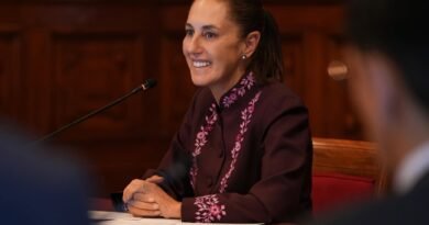 Sheinbaum crea Consejo Asesor para la Transformación Digital del sector salud  - RR Noticias