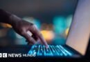 Sitios web de todo el mundo quedan desactivados tras detectarse una falla de seguridad crítica en internet - BBC News Mundo