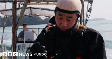 Su esposa fue arrastrada por un tsunami y él lleva años buceando para sentirse cerca de ella - BBC News Mundo