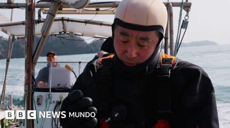 Su esposa fue arrastrada por un tsunami y él lleva años buceando para sentirse cerca de ella - BBC News Mundo