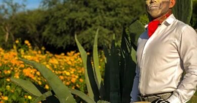 Tolimán anuncia Festival de Día de Muertos - RR Noticias