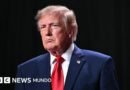 Trump anuncia un acuerdo con Putin para que Rusia libere miles de toneladas de diésel al mercado mundial - BBC News Mundo