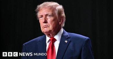 Trump anuncia un acuerdo con Putin para que Rusia libere miles de toneladas de diésel al mercado mundial - BBC News Mundo