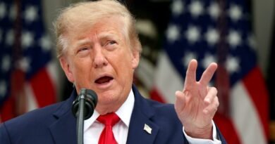 Trump asegura que México pagó “muchas veces” el muro fronterizo con aranceles - RR Noticias