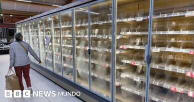 Un ciberataque contra los refrigeradores y congeladores de cientos de supermercados de Francia provoca pérdidas millonarias - BBC News Mundo
