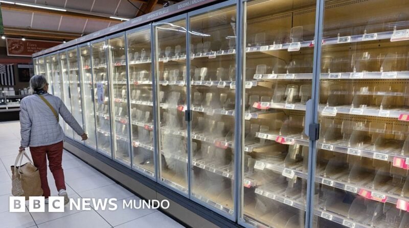 Un ciberataque contra los refrigeradores y congeladores de cientos de supermercados de Francia provoca pérdidas millonarias - BBC News Mundo