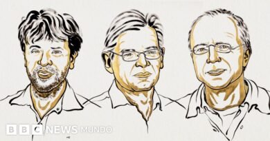 Un científico estadounidense y dos alemanes ganan el Nobel de Medicina por su 
