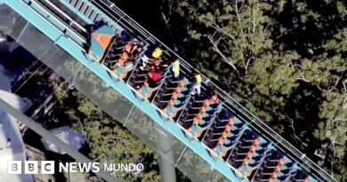Un muerto y varios heridos tras un accidente en una montaña rusa de un parque Six Flags en EE.UU. - BBC News Mundo