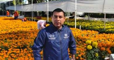 Vivero Municipal comienza con colocación de flores de cempasúchil - RR Noticias
