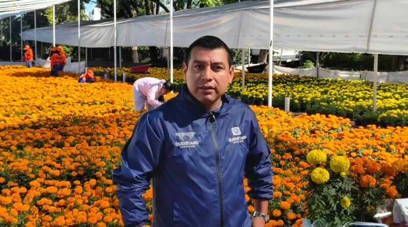 Vivero Municipal comienza con colocación de flores de cempasúchil - RR Noticias
